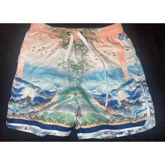 Fashion nova printed shorts / bathing suit. No lining in pants, never worn. - Picture 2 of 3